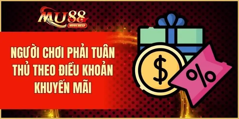 Người chơi phải tuân thủ theo điều khoản khuyến mãi